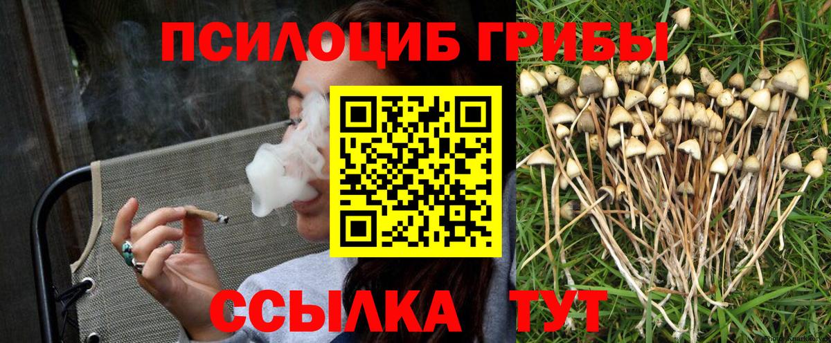 Галлюциногенные грибы прущие грибы  Вход с VPN  Галлюциногенные грибы ЛСД  Нижний Тагил 